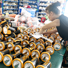 提供OED和ODM服务